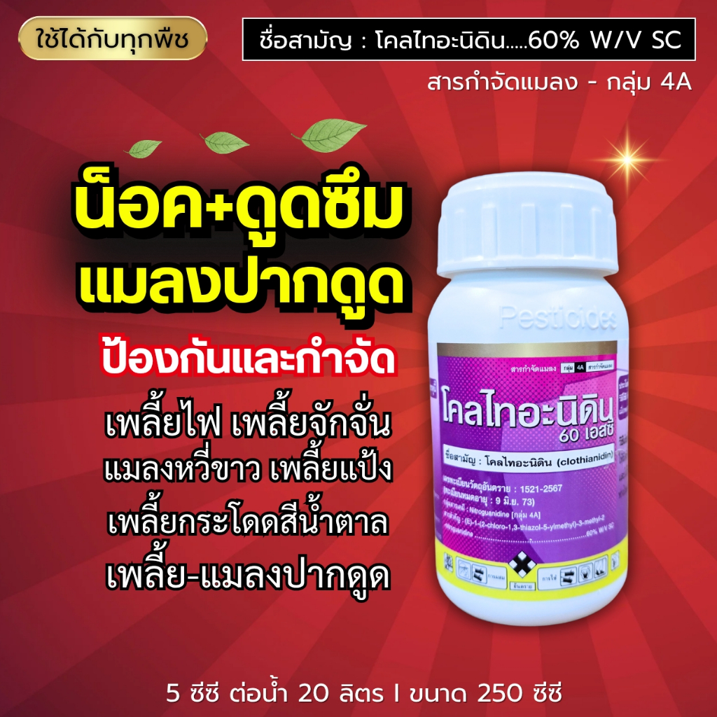 โคลไทอะนิดิน (60%) น็อค+ดูดซึม เพลี้ย-แมลงปากดูด เพลี้ยไฟ เพลี้ยจักจั่น แมลงหวี่ขาว เพลี้ยแป้ง เพลี้ยกระโดด 250 ซีซี