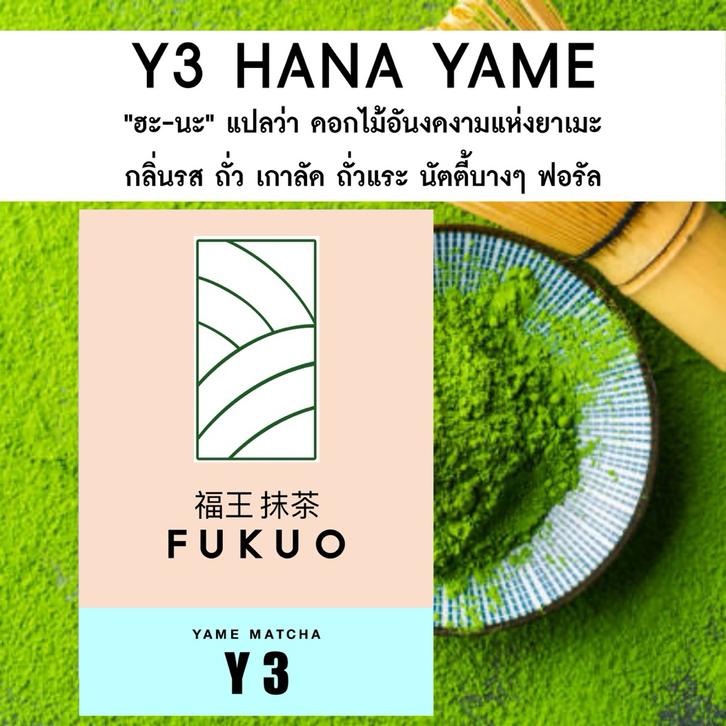 (Fukuo) Y3 HANA YAME Ceremonial grade มัทฉะ โทนถั่ว จากญี่ปุ่น 🇯🇵 ของแท้ เกรดพิธีการ