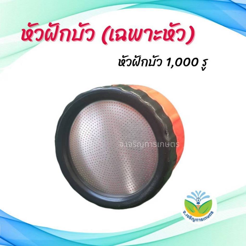 หัวฝักบัวรดน้ำ1,000 รู และ 2,000 รู #หัวบัวพลาสติก #หัวบัวสแตนเลส #รดน้ำต้นไม้ ราคา ถูกที่สุด ดีลบีเคเค แกลเลอรีภาพที่ 5