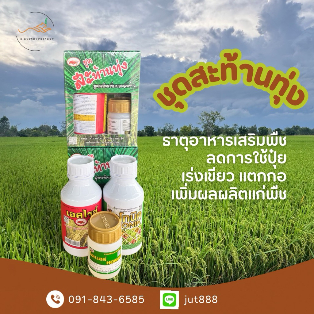 ชุด สะท้านทุ่ง ธาตุอาหารเสริมพืช ลดปุ๋ย โตไว กอใหญ่ ใบเขียว ต้นแข็ง
