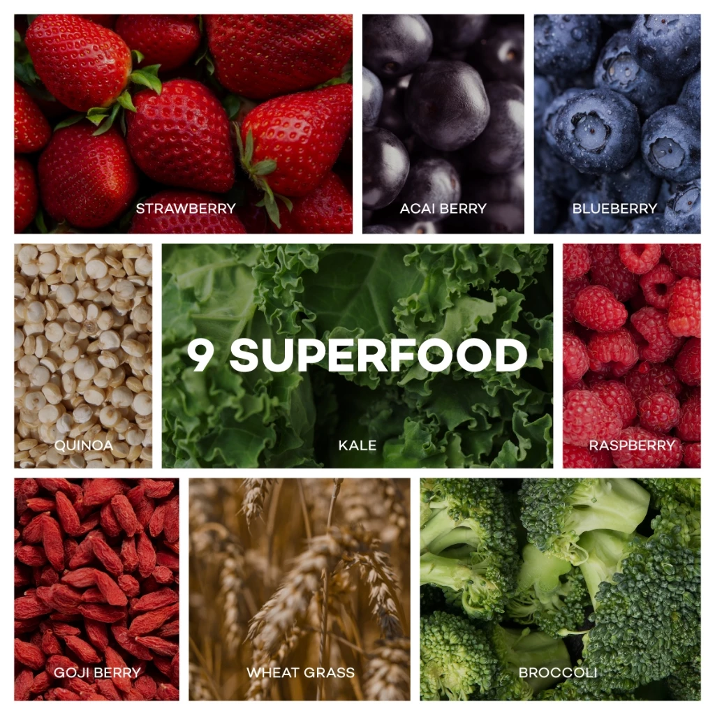 Plantae Complete Plant Protein สูตร Superfoods & Greens กระปุก 800g โปรตีนจากพืช plant based เพิ่มกล้ามเนื้อ โปรตีนสูง thumbnail 3