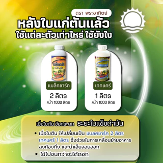 🌿 ชุดสะสมอาหารทำดอก สูตรเกษตรเปิดใจ อาหารแน่น เคลื่อนย้ายไปท้องกิ่งดี อาหารแน่น คุณภาพสูง ต้นไม่มีโทรม