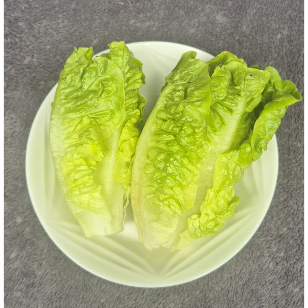 เมล็ดพันธุ์ มินิคอส 100 เมล็ด(5แถม1คละได้)