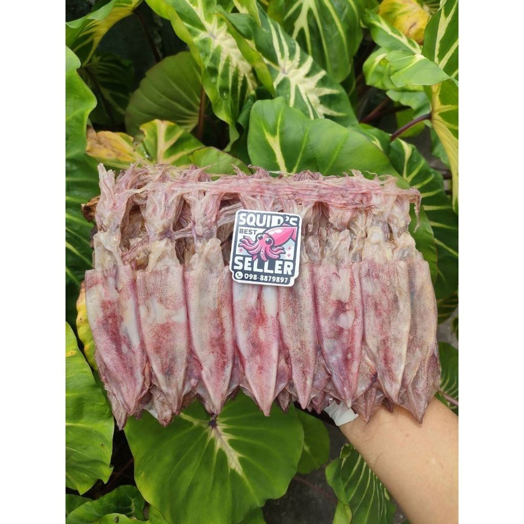 แพ.เรือไดร์ ตัวใหญ่ เกรด A จากบ้านเพขนาด500กรัม