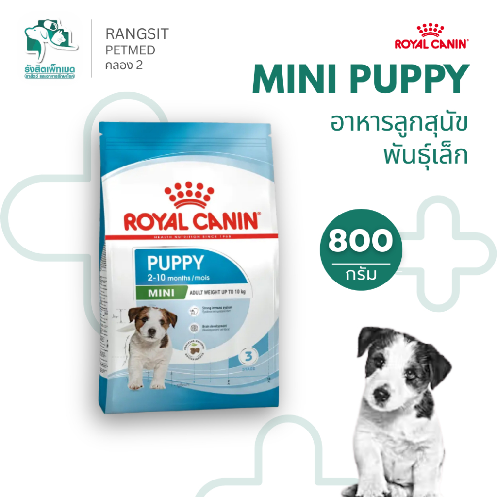 Royal Canin Mini Puppy อาหารเม็ดลูกสุนัข พันธุ์เล็ก 2-10 เดือน