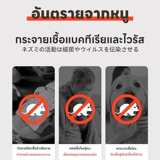 นำเข้าจากประเทศญี่ปุ่น เจลไล่หนู กำจัดหนู ใช้งานง่าย ไล่หนูตลอด 24 ชั่วโมง ใช้ได้ทั้งแม่และเด็ก