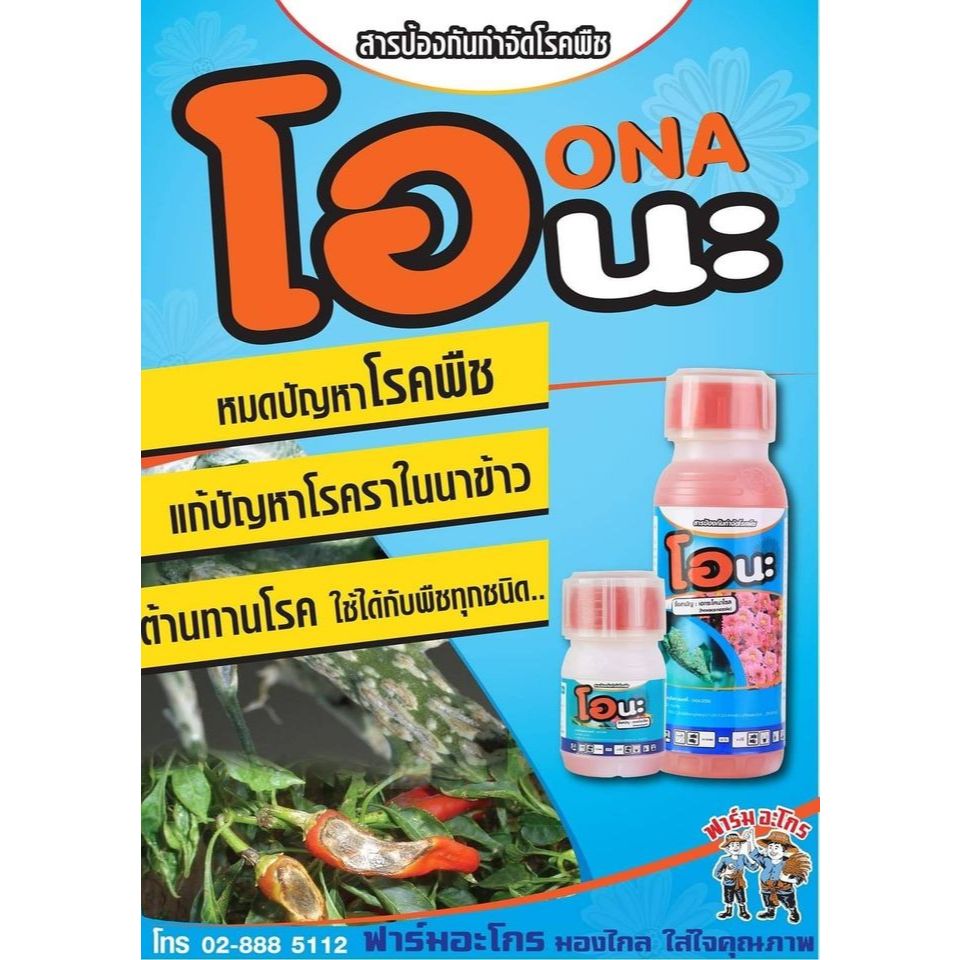 โอนะ (เฮกซะโคนาโซน) สารป้องกันเชื้อราสูตรน้ำมัน โรคแอนแทรคโนส ราแป้ง ราดำ ราสนิมขาว ใบไหม้ กาบใบแห้ง