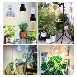 E27 LED Grow light ไฟปลูกต้นไม้ 12W/24W 4000k/6000k เติบโตหลอดไฟ 15 ° ~ 60 °มุมลำแสงปรับได้ เติบโตโคมไฟด้วยสวิตช์ลวด 4M