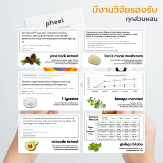 [ Pheel ] อาหารเสริมบำรุงสมอง FLO / สมาธิ / คิดวิเคราะห์ / ความจำ