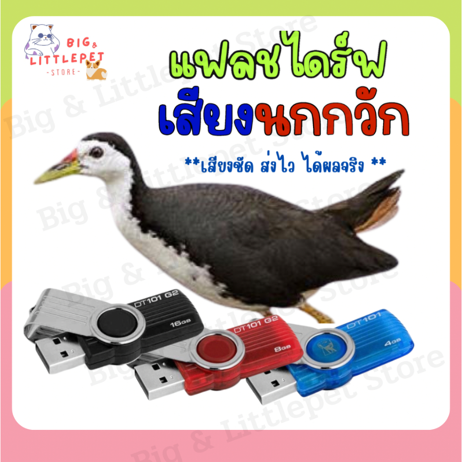 แฟลชไดร์ฟ เสียงนกกวัก USBเสียงต่อนกกวัก นกไก่นา เปิดได้นาน 24ชั่วโมง ไม่มีโฆษณาแทรก ต่อได้ผลแน่นอน
