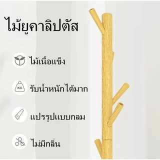 ที่แขวนเสื้อไม้ ของใช้ในห้องนอน ที่แขวนเสื้อทรงต้นไม้ ประหยัดอวกาศ ที่แขวนเสื้อตั้งพื้น ของใช้ในบ้าน