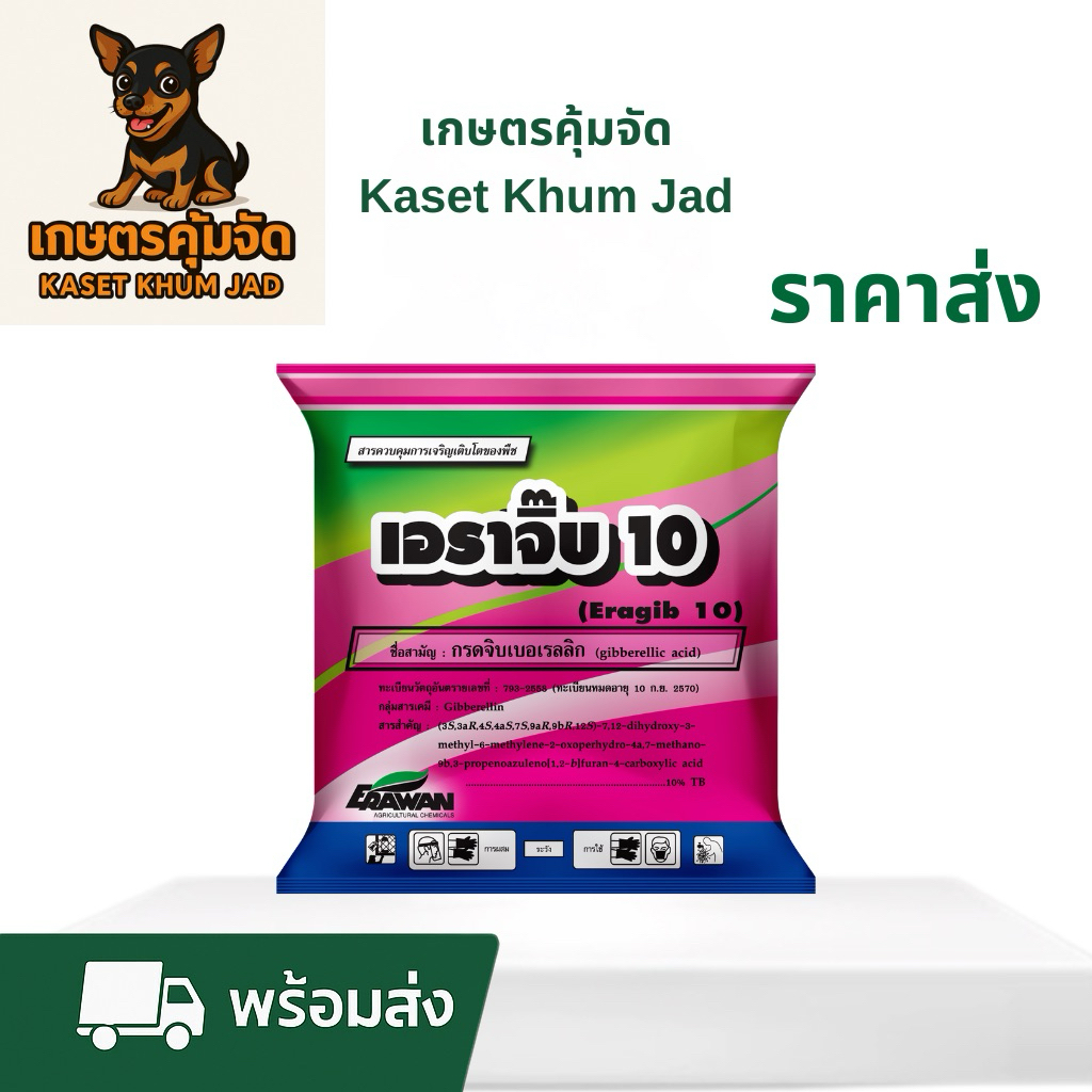 เอราจิ๊บ 10 – ฮอร์โมนจิบเบอเรลลินแท้!