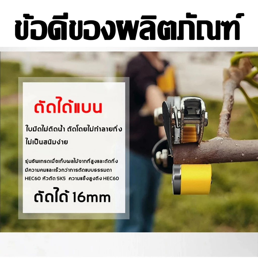 เก็บผลไม้สูง7ม.โดยไม่ต้องปีนต้นไม้✨กรรไกรตัดกิ่งไม้ด้ามยาว ตัดกิ่งไม้สูง กรรไกรตัดกิ่งไม้สูง ยืดได้7m แถมเลื่อยฟัน35ซม - รูปที่ 7