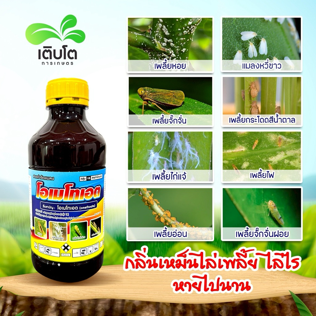 โอเมโทเอต (omethoate) (1ลิตร) : เป็นสารกำจัดแมลงศัตรูพืชประเภทดูดซึม ออกฤทธิ์แบบถูกตัวตายและกินตาย ราคา ถูกที่สุด ดีลบีเคเค แกลเลอรีภาพที่ 3