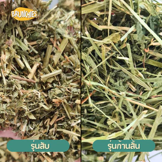 Brunchies หญ้าอัลฟาฟ่าอย่างดีร่อนฝุ่น (1kg) พรีเมียม สับ/ก้านสั้น สำหรับกระต่าย แกสบี้ ชินชิลล่า