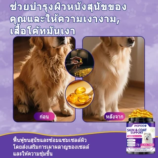 Popoo Skin & Coat Support for Dogs บำรุงเส้นขนและผิวหนัง ลดการหลุดร่วงของเส้นผม ขนมสุนัข 120 แคปซูล