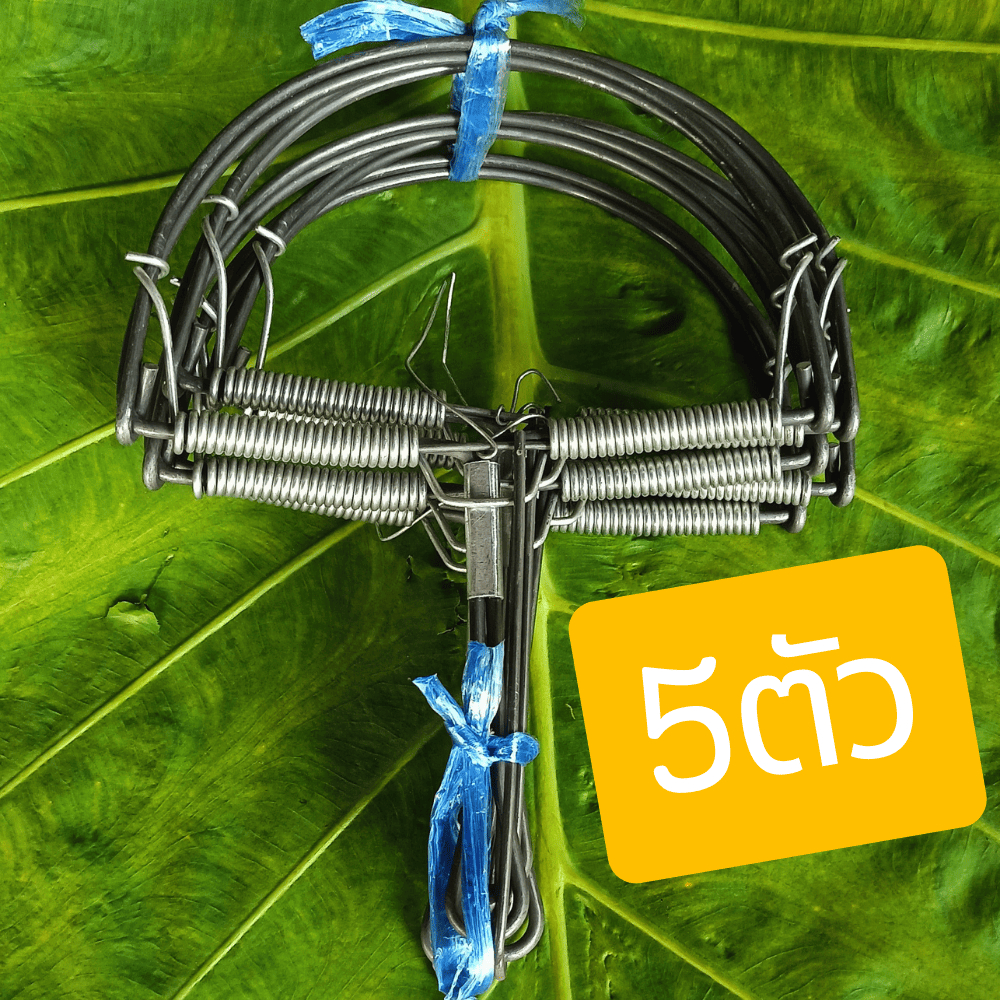 กับดักหนูขนาด 6 นิ้วใช้งานได้นานแข็งแรงทนทาน - รูปที่ 3