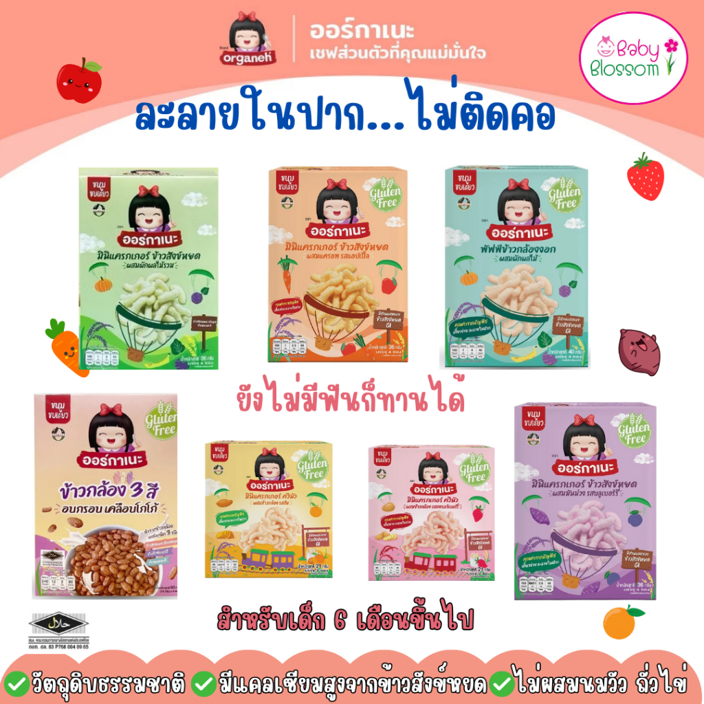 ออร์กาเนะ Organeh  มินิแครกเกอร์ ข้าวสังข์หยด เคี้ยวง่าย ละลายในปาก สำหรับเด็ก 6 เดือนขึ้นไป  ขนมเด็ก