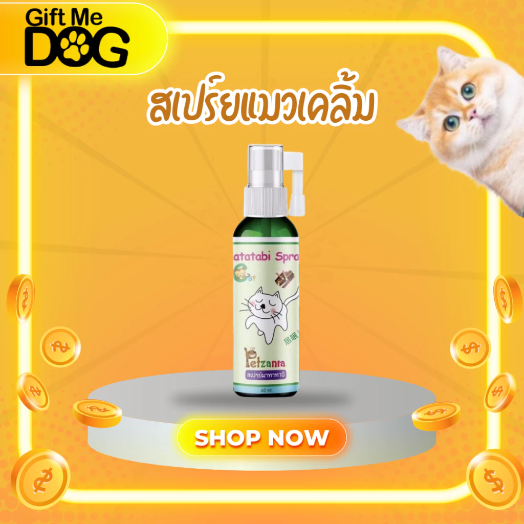 สเปรย์มาทาทาบิ😻 Matatabi Spray For Cat😻เพ็ทซาเนีย