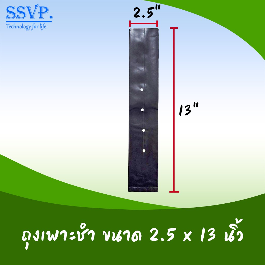 ถุงเพาะชำอย่างดี ขนาด 2.5 นิ้ว x 13 นิ้ว