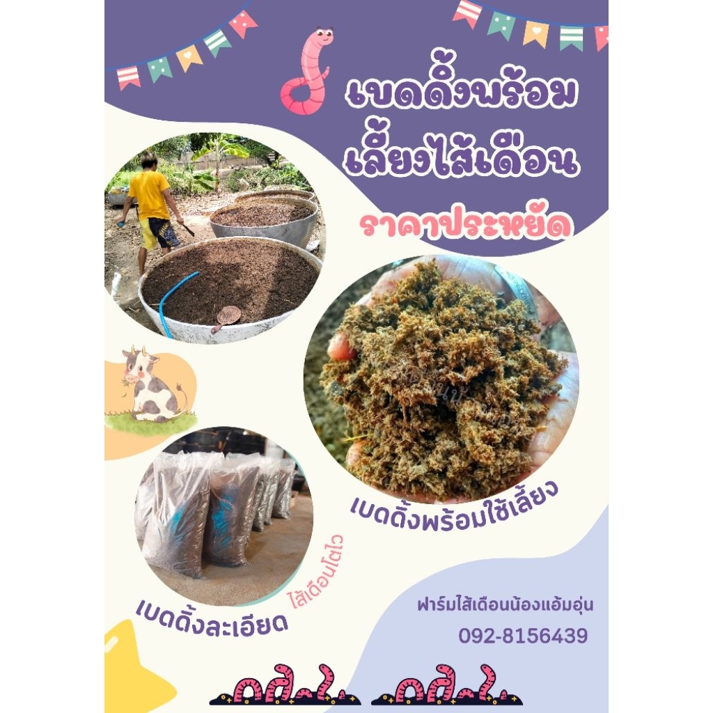 ❣️เบดดิ้งพร้อมเลี้ยงไส้เดือน  5กิโล❣️สามารถนำไปเลี้ยงได้เลย🪱🥰🌱🐄