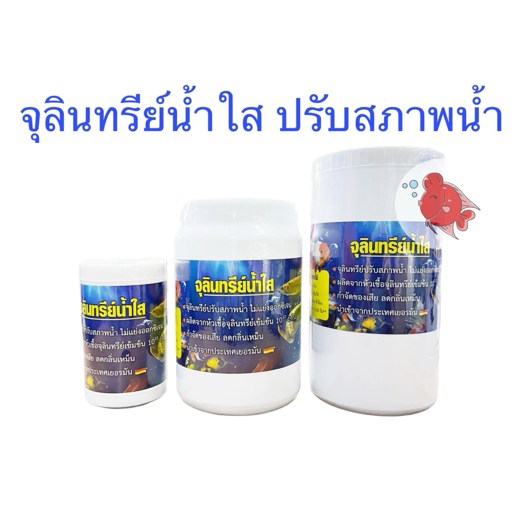 จุลินทรีย์น้ำใส จุลินทรีย์ปรับสภาพน้ำ เข้มข้น ปรับสภาพน้ำ กำจัดของเสีย ลดกลิ่น ปลาสดชื่น แข็งแรง น้ำใสตู้ปลา น้ำใสบ่อปลา