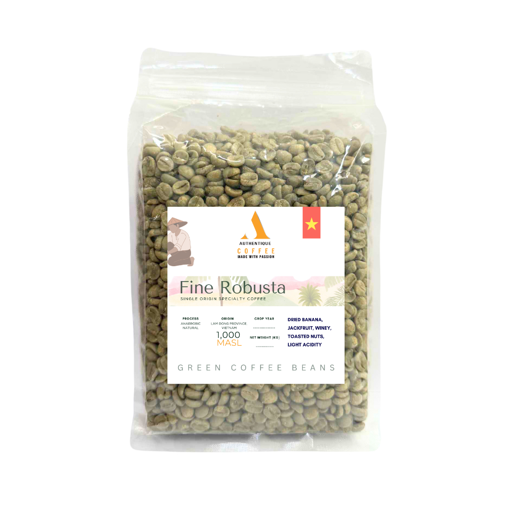 AUTHENTIQUE SPECIALTY FINE ROBUSTA GREEN COFFEE BEANS – ANAEROBIC NATURAL (1KG)
