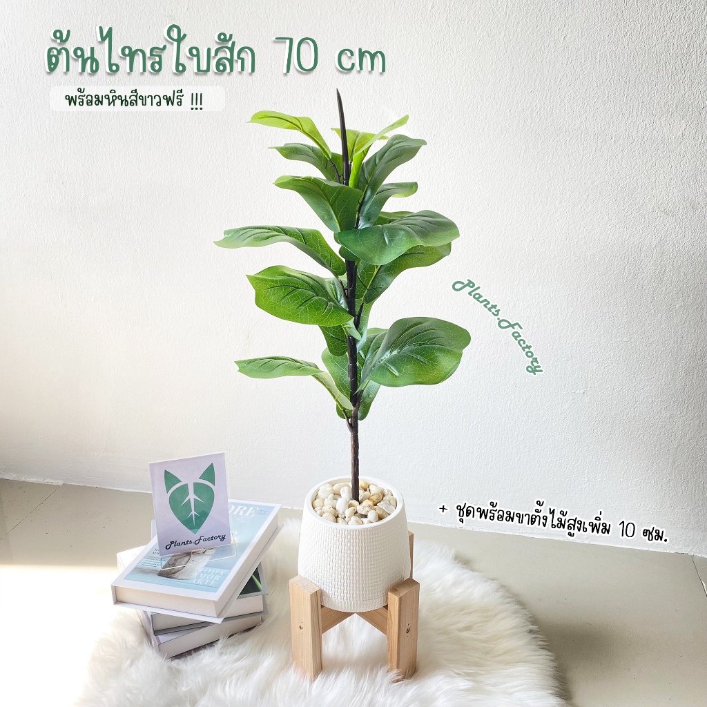 ต้นไม้ปลอม ไทรใบสัก พร้อมกระถางเบลล่าและหินสีขาวฟรี☘️ – โปรปัง