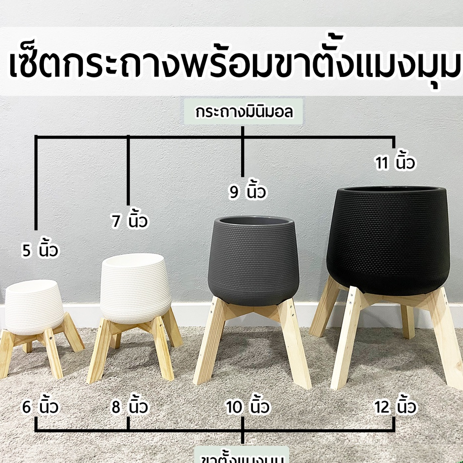 (งานนำเข้าพลาสติกหนา)ชุดเซ็ตกระถางต้นไม้พร้อมขาตั้งแมงมุมขนาด 6นิ้ว 8นิ้ว 10นิ้ว 14นิ้ว กระถางมินิมอลเบลล่าขาตั้งอย่างดี