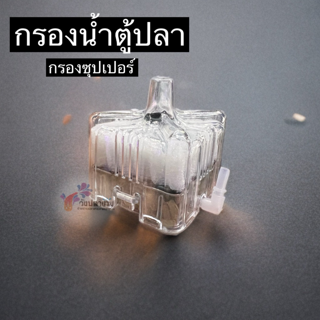 กรองน้ำตู้ปลา : กรองซุปเปอร์ กรองชีวภาพอย่างดี