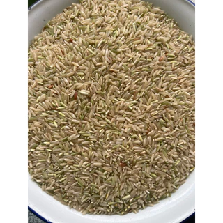 ข้าวกล้องใหม่ ก.ข 43 แพ็ค1กิโลกรัม ข้าวปลอดสารเคมีไม่ใส่สารกันมอดเหมาะกับคนเป็นเบาหวานความดันโลหิตสูงน้ำหนักรวมกล่อง