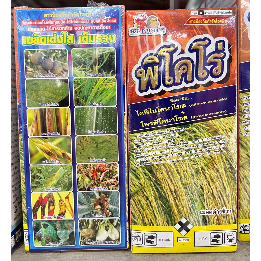 พิโคโร่ ไดฟีโคนาโซล+โพรพิโคนาโซล 500 มล. กำจัดโรคพืช เชื้อรา เมล็ดด่าง รา (สารเดียวกับอามูเร่)