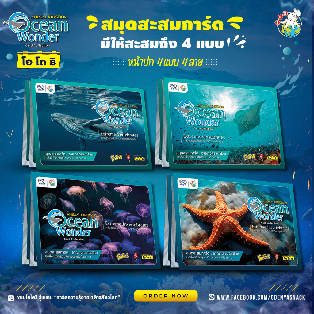 🌊✨สมุดสะสมการ์ด Animal Kingdom : Ocean Wonder “การ์ดความรู้อาณาจักรสัตว์โลก”