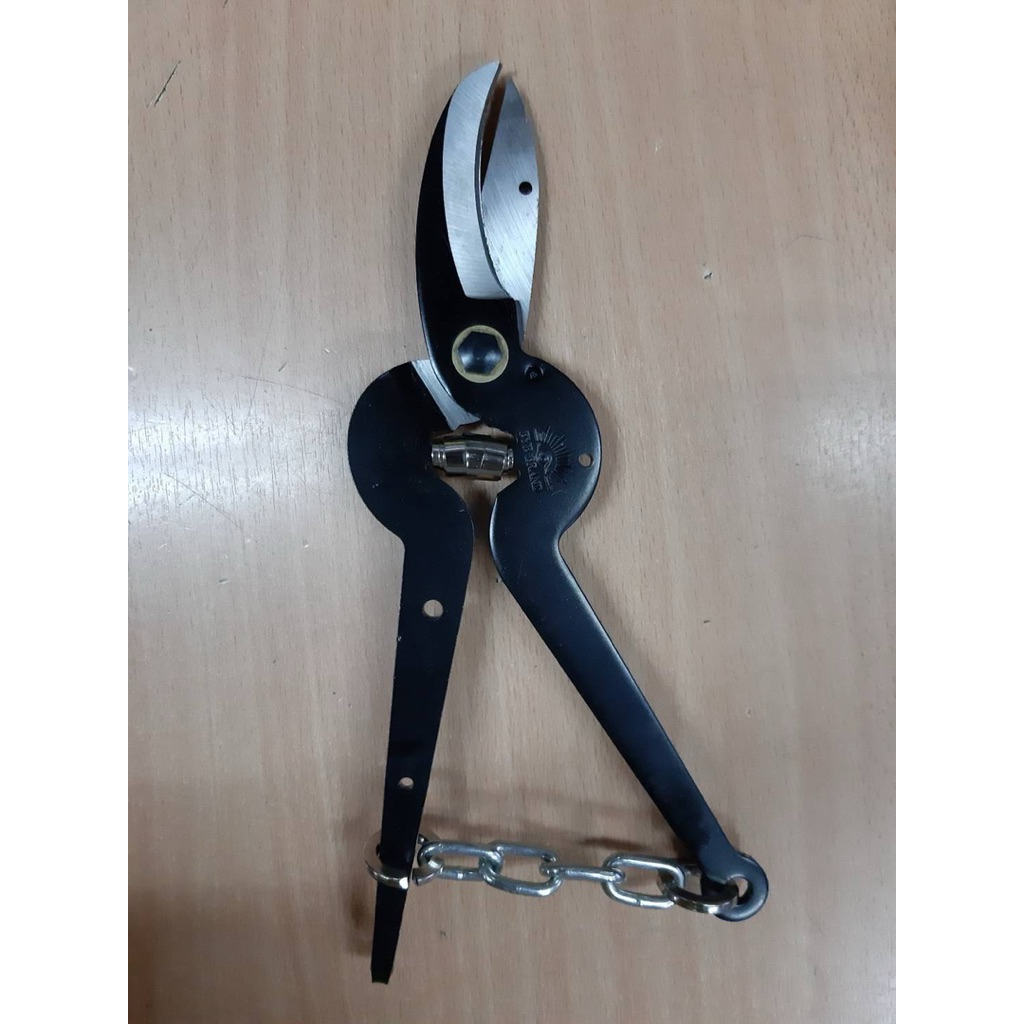 EYE BRAND(ปากโค้ง) กรรไกรตัดกิ่งตราตา ขนาด 8 นิ้ว