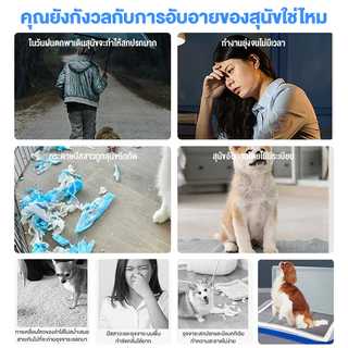 ห้องน้ำสุนัข แผ่นรองฉี่สุนัข ถาดฉี่สุนัข ถาดรองฉี่สุนัข ถาดฉี่สุนัข แบบมีเสา มีตะแกรงรองถาด สำหรับฝึกฉี่สุนัข ถาดรองฉี่ส