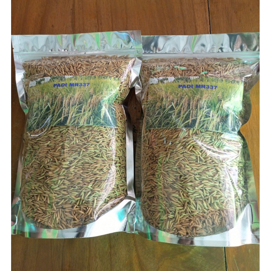 พันธุ์ข้าวMR337ขนาด1ก.ก.(ชั้นขยายพันธุ์)
