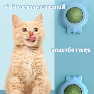กัญชาแมว แคทนิปบอล ติดกำแพง ไม่กลิ้งหาย หญ้าแมว กันชาแมว กัญชาเเมว แคทนิปแมว catnip ball กันชาแมวส่งฟรี กัชชาแม กันชาแมว