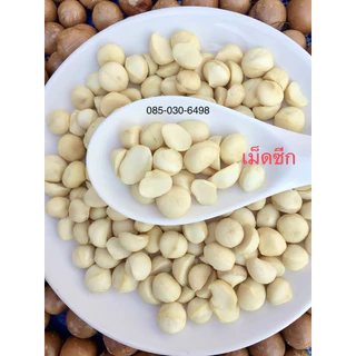 แมคคาเดเมียเม็ดซีก 500กรัม อบ สด ใหม่ จากดอยเชียงราย