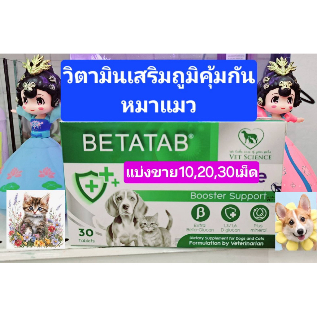 BETATAB lmmune Booster เสริมภูมิ ต้านหวัด สุนัขและแมว แบ่งขาย10,20,30เม็ดถูกที่สุด