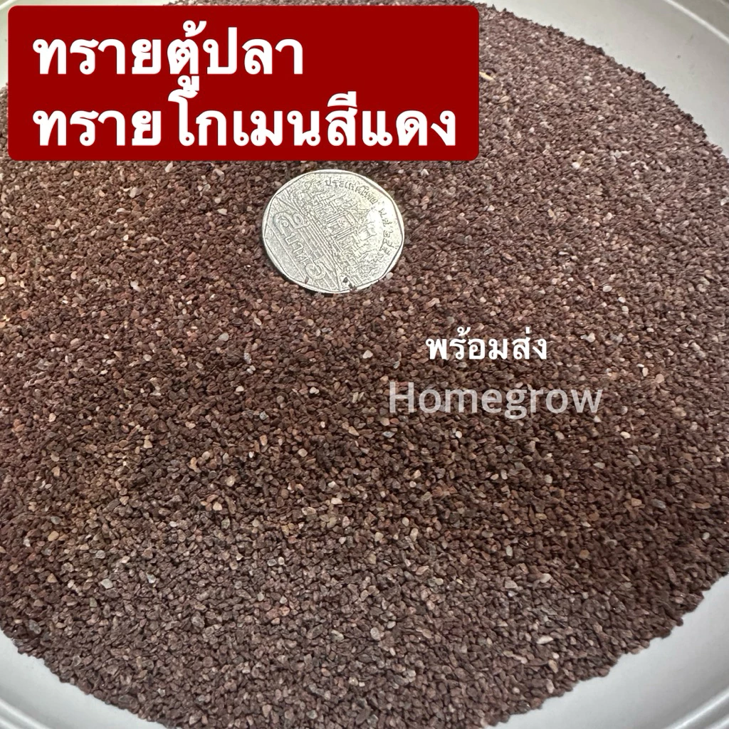 ทรายโกเมน สีแดง ตู้ปลาช่อน ตู้ปลา รองพื้นตู้