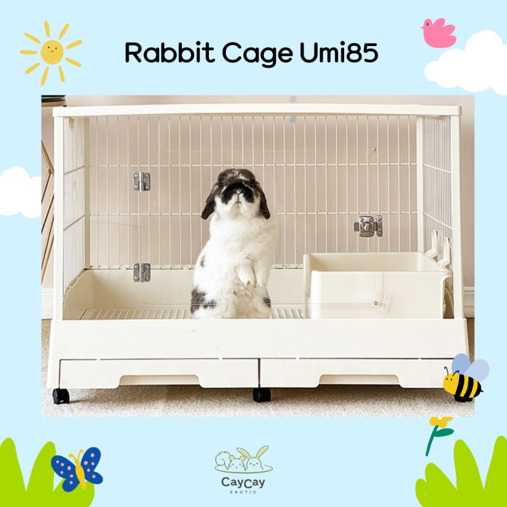 กรงสำหรับสัตว์เลี้ยง กรงกระต่าย รุ่น umi85 พร้อมล้อ