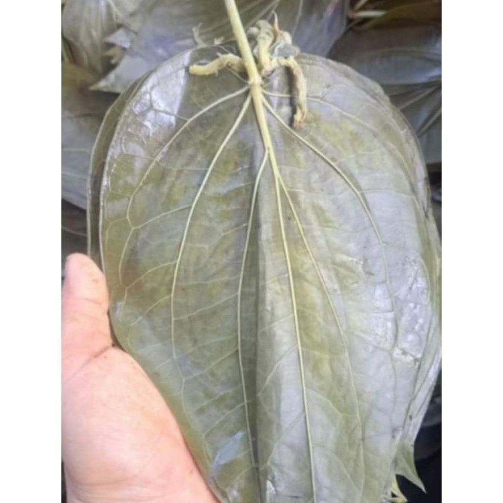 ใบพลูนึ่งพม่าแพคถุงละ900g.