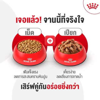 [ แบ่งขาย 1kg แท้ชัวร์ ] ROYAL CANIN อาหารแมวแบ่งขาย 1 KG แพค2 ชั้นใส่ถุงซิปล็อค