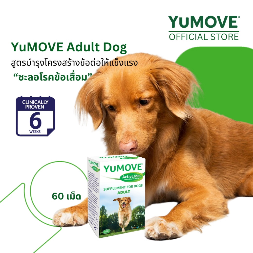 YuMOVE Adult Dog ยูมูฟ อะดัลท์ ด็อก (60 เม็ด) สูตรสำหรับสุนัขที่ต้องการบำรุงโครงสร้างข้อต่อให้แข็งแรง