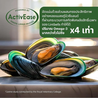 YuMOVE ADVANCE 360 for Dogs (120 เม็ด) สูตรดูแลข้อต่ออย่างครบถ้วนสำหรับสุนัขที่มีภาวะข้อเสื่อมแล้ว