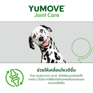 YuMOVE ADVANCE 360 for Dogs (120 เม็ด) สูตรดูแลข้อต่ออย่างครบถ้วนสำหรับสุนัขที่มีภาวะข้อเสื่อมแล้ว