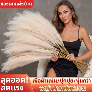 12pcs 56 ซม. ประดิษฐ์ Pampas Grass Nordic ปลอม Reed หญ้าพืชงานแต่งงานตกแต่งบ้านของขวัญวันสตรี