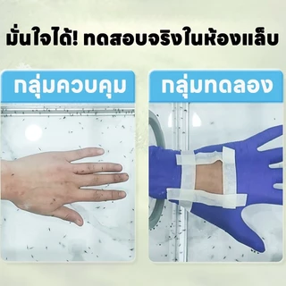 PUREHEARTYสเปรย์กำจัดเห็บหมัดสำหรับสัตว์เลี้ยง สเปรย์กำจัดไรสัตว์เลี้ยง ปกป้องการเจริญเติบโตที่แข็งแรงของสั สูตรธรรมชาติ