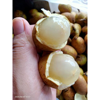 ลำใยคริสตัล อร่อยๆ พร้อมส่ง ฤดูปีละครั้งเท่านั้น‼️