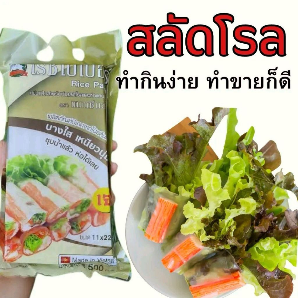 แผ่นแป้งสลัดโรล นุ่ม เหนียว ห่อสวย ไม่ขาดง่าย